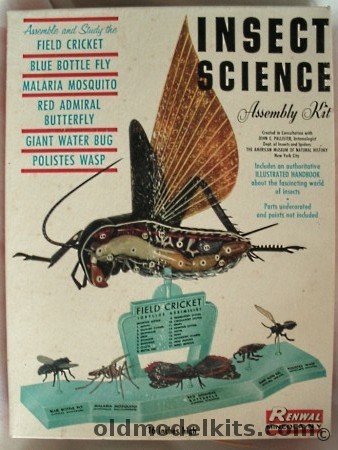 Renwal Insect Science - Cut Away Field Cricket-Blue Bottle Fly-Malaria Mosquito-Red Admiral Butterfly-Giant Water Bug-Polistes Wasp, 801 plastic model kit